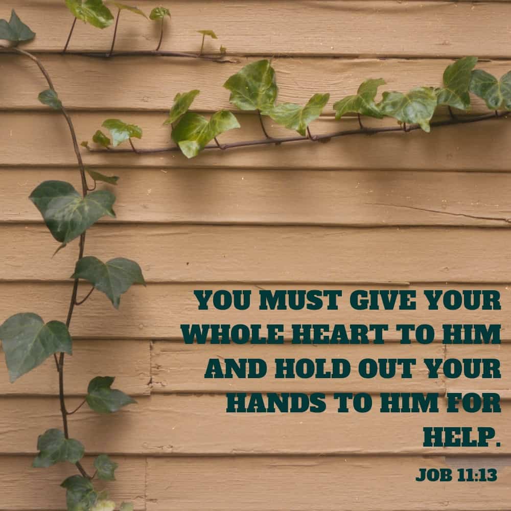 Job 11:13